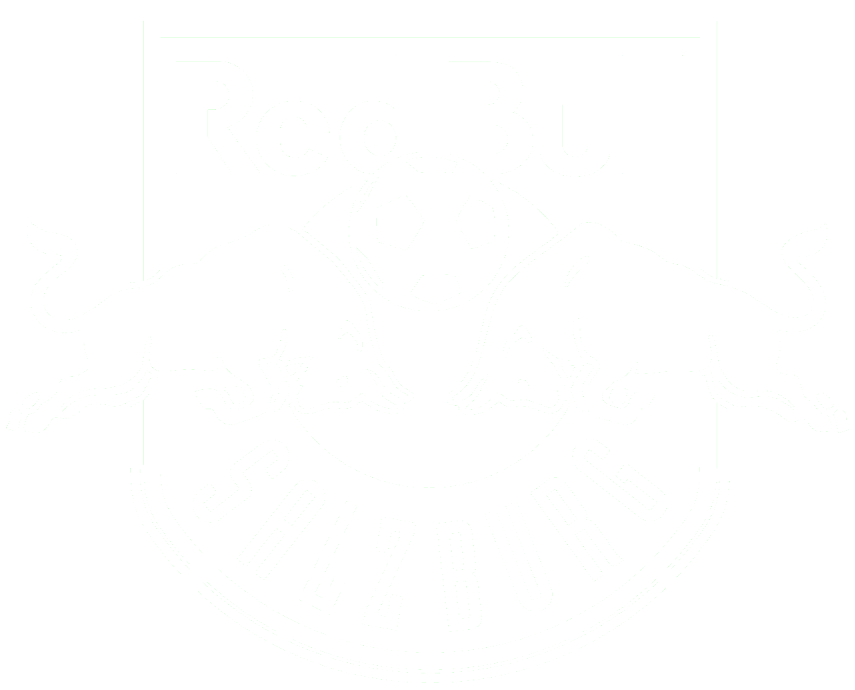 Logo von RB Salzburg